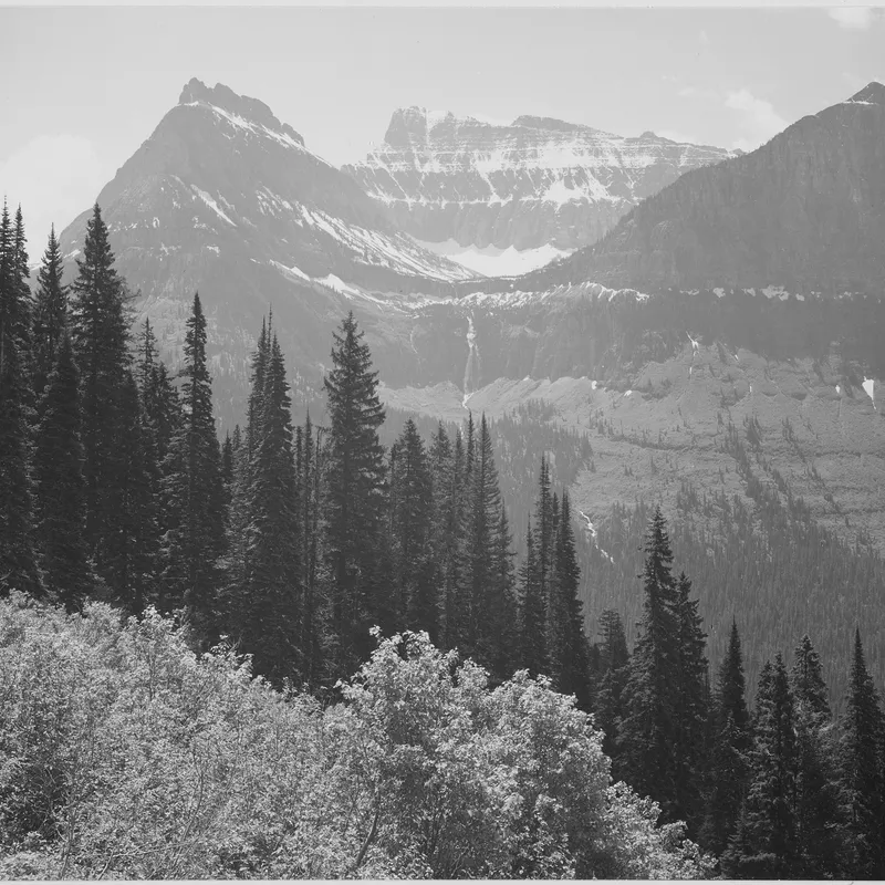 Green Filters and Tonal Separation in Woodland Landscapes