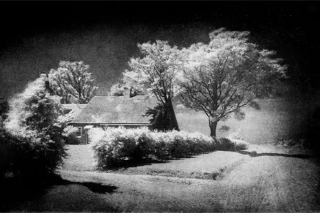Infrared Film and the Wood Effect: Deep Red Filters, White Foliage, and Focus Shift
